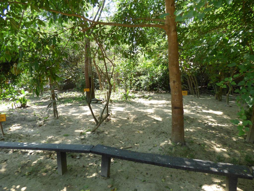 Chitwan Gaida Lodge Sauraha Exterior photo